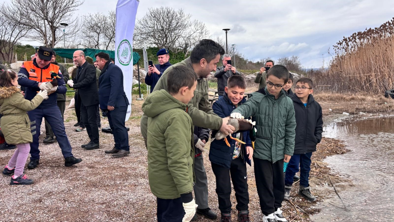 Minik öğrenciler, avuçlarına sığmayan ördekleri doğaya saldı