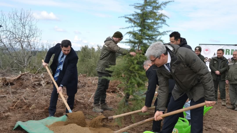 Denetimli serbestlik yükümlüleri fidan dikti