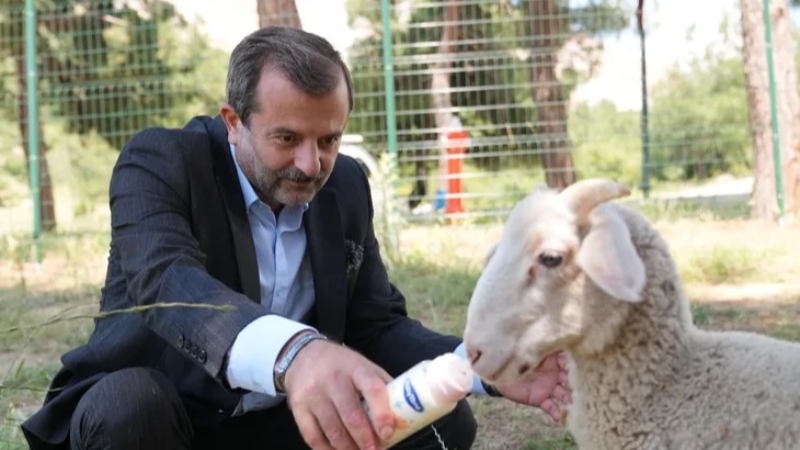 Gürsu'da butik hayvanat bahçesi