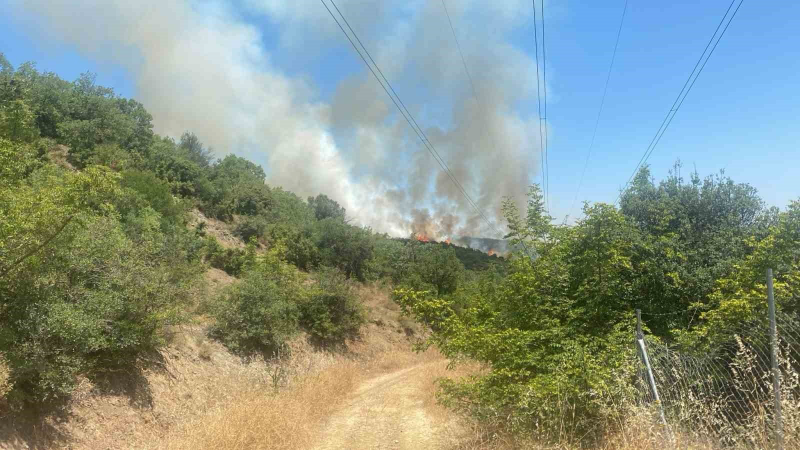 Kestel’de söndürülen yangın yeniden alevlendi