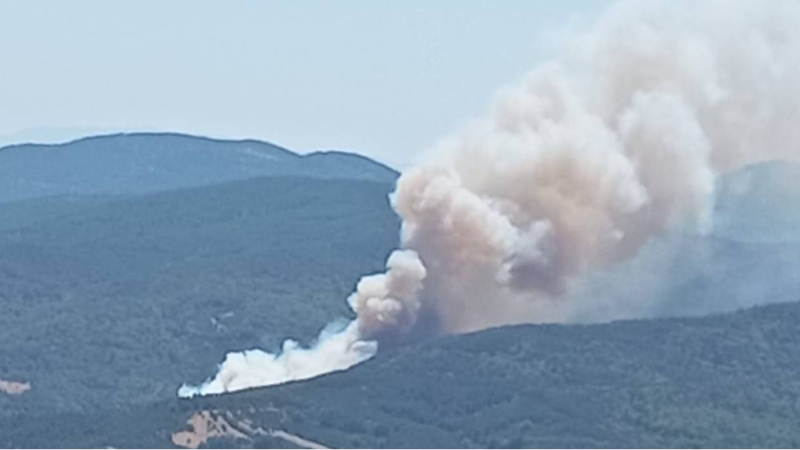 Bursa’da orman yangını: Havadan ve karadan müdahale ediliyor