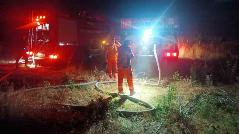Otluk alanda çıkan yangın ağaçlık alana sıçradı