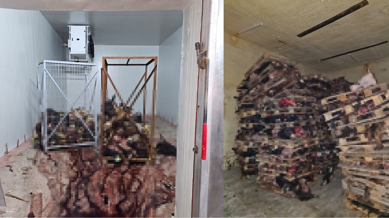 Gemlik'te ruhsatsız iş yerinde skandal görüntüler