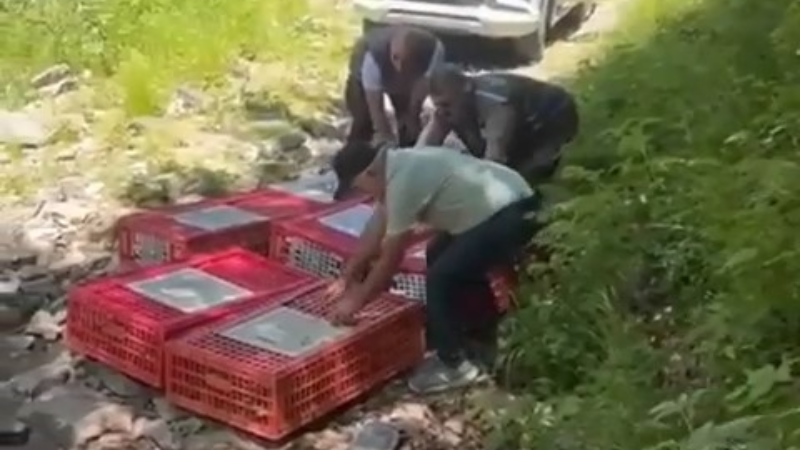 Kene ile mücadele timleri doğaya salındı