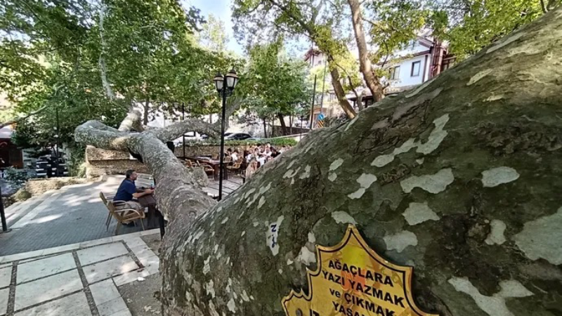 İnkaya'da görkemli gölge