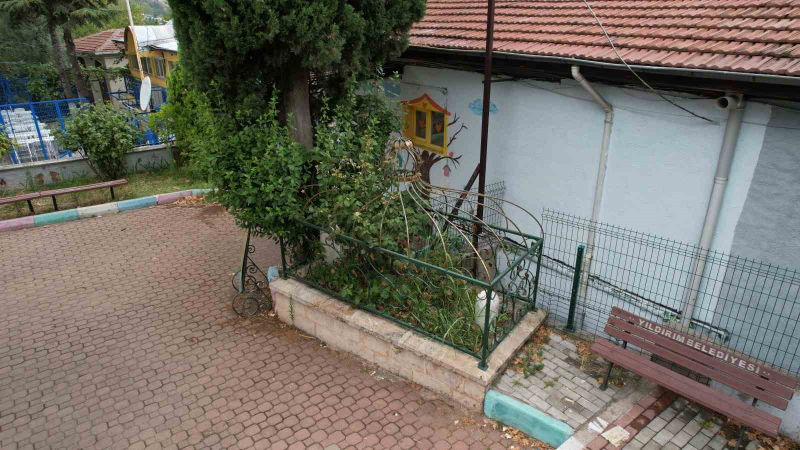 Osmanlı’nın önemli âliminin mezarı kaderine terk edildi!