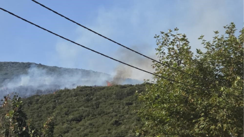 Gedelek yangını ile ilgili 1 kişi gözaltında