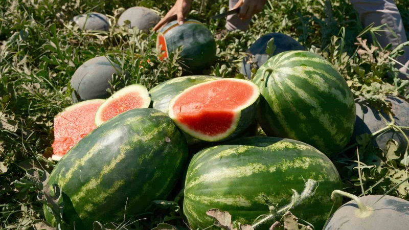 Karpuzun fiyatı 70 kilometrede 30’a katlanıyor