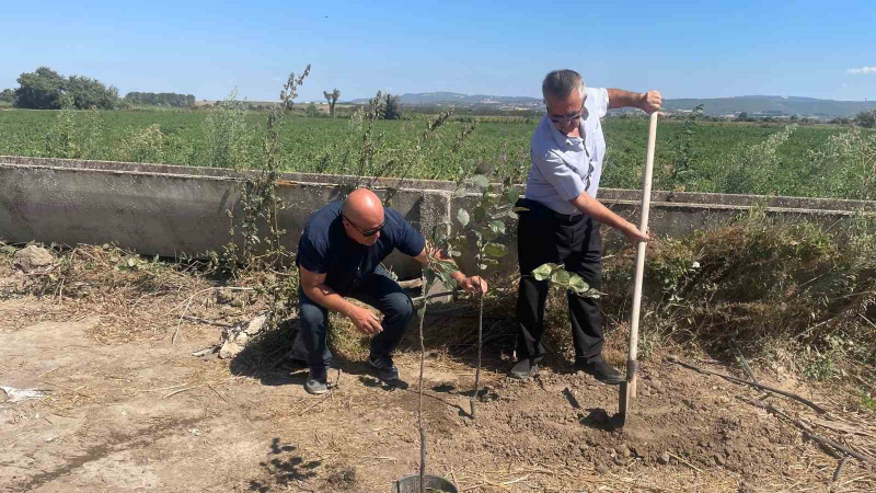 Orman yangınlarında kaybedilen her ağaç yerine 10 fidan