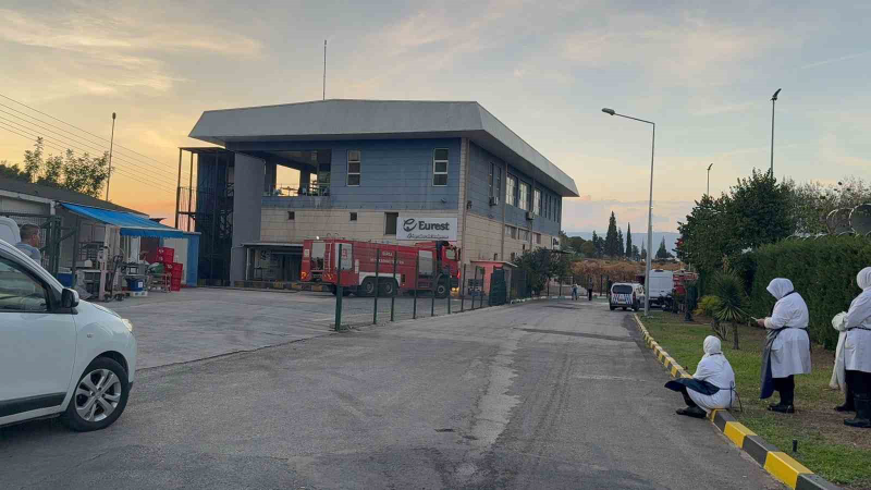 Gemlik Serbest Bölge’de çıkan yangın panik yarattı