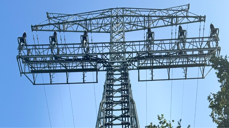 Berlin’de elektrik direklerinde kundaklama şüphesi