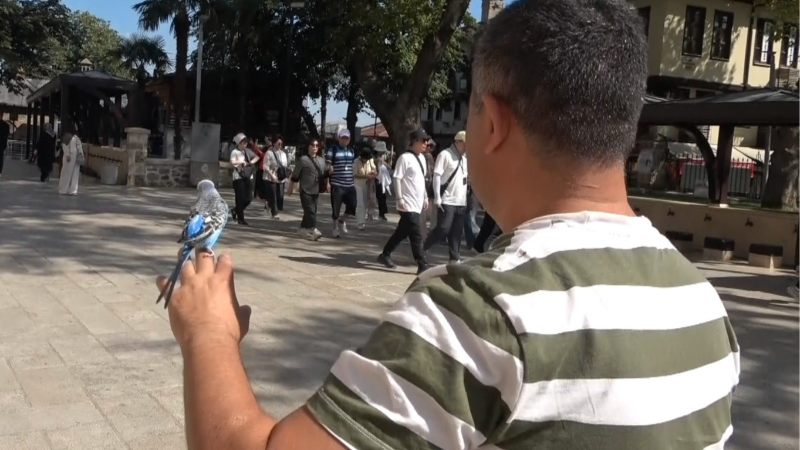 Bursa'da sahibinin omzunda ve elinde çarşıyı geziyor