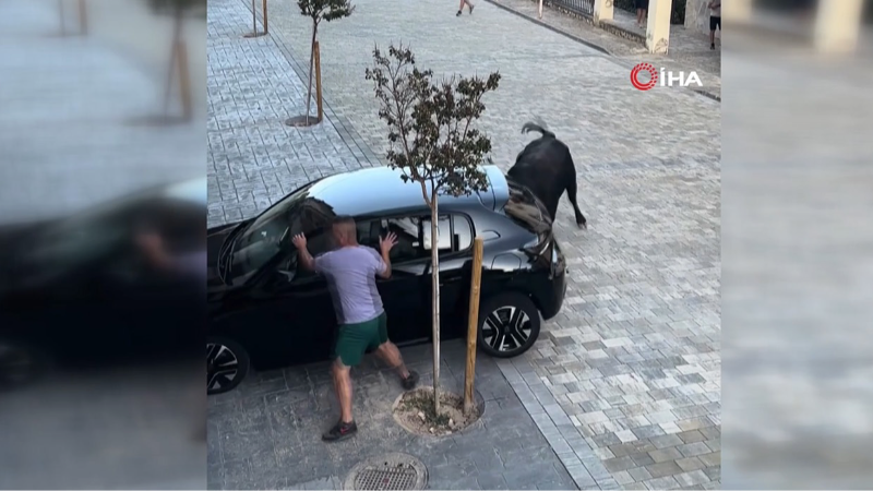 İspanya’da kızgın boğa park halindeki aracı parçaladı