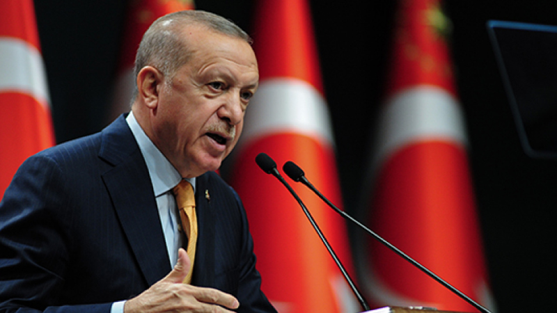 Cumhurbaşkanı Erdoğan: "Özel sektör ve biz ülkeyi hep beraber kalkındıracağız"