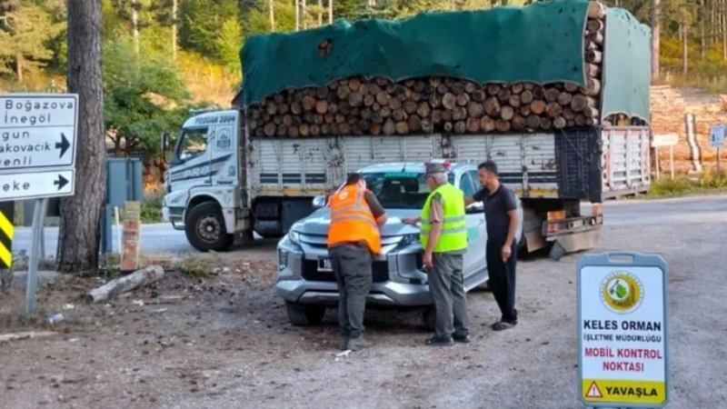 Bursa’da eş zamanlı orman emvali kontrolü