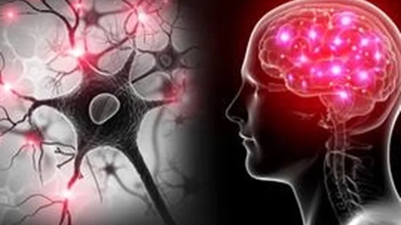 Yapay zekâ ve EEG ile otizm ve dislekside erken teşhis umudu