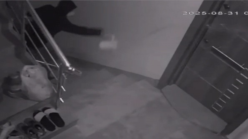Komşularını canından bezdirdi