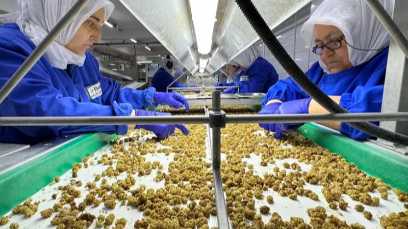 Çin’de organik sektörü 15 milyar dolarlık hacme ulaştı