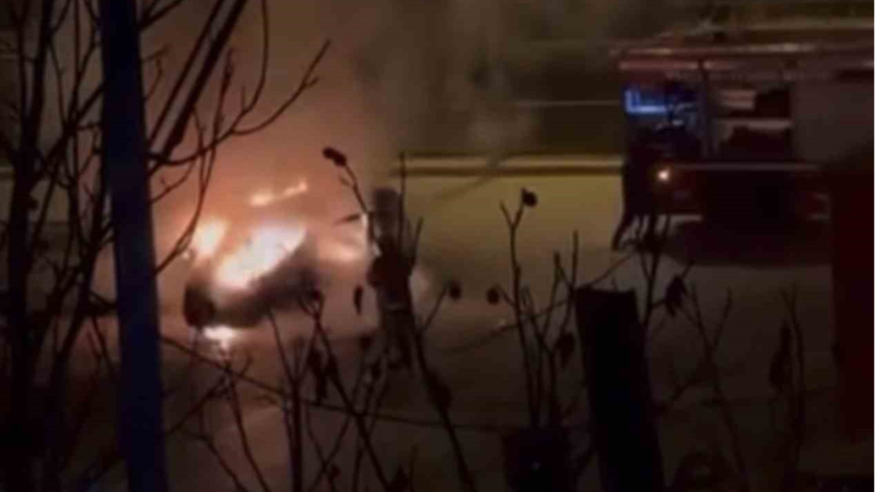 Hafif ticari araç alevlere teslim oldu