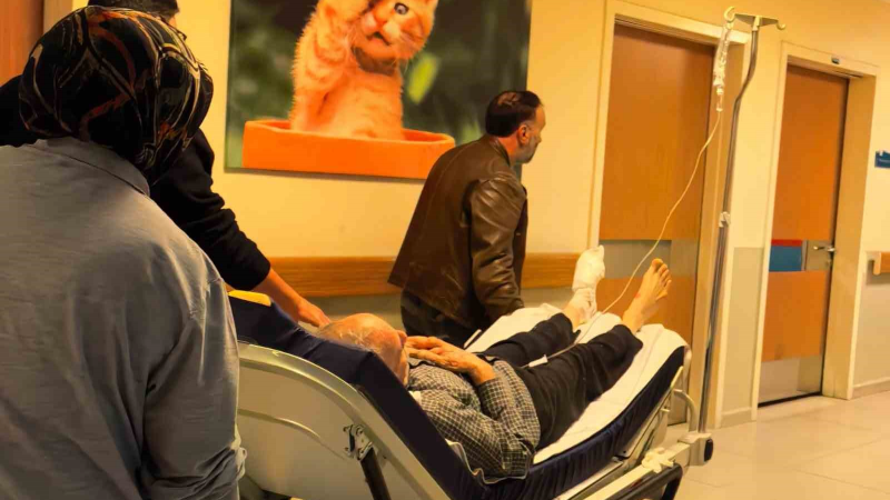 Odun kesmek isterken, ayağını kesti