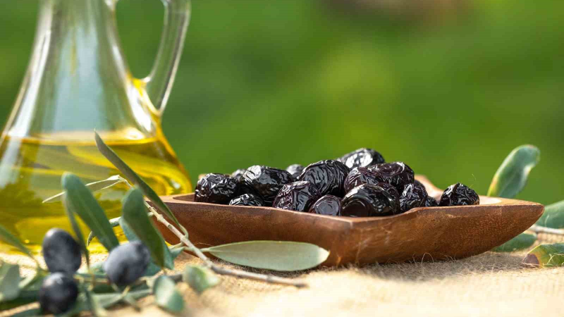 Marmarabirlik’ten 761 milyon liralık ödeme