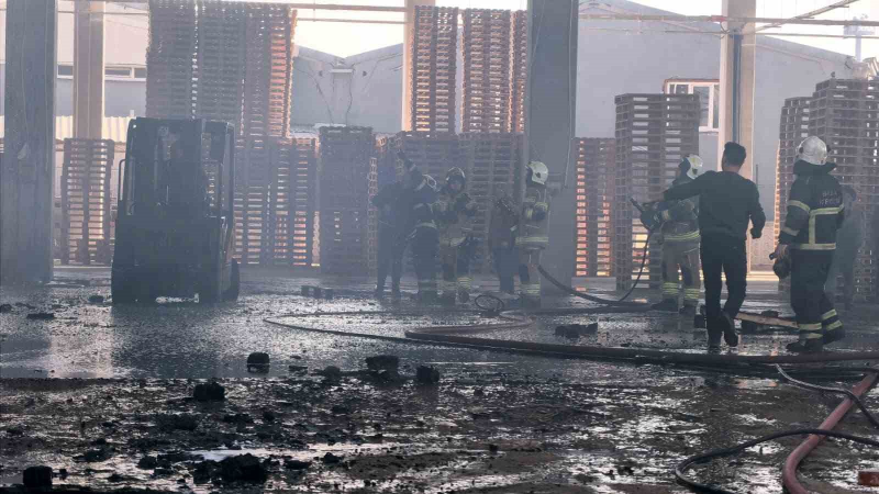 Palet fabrikası alevlere teslim oldu