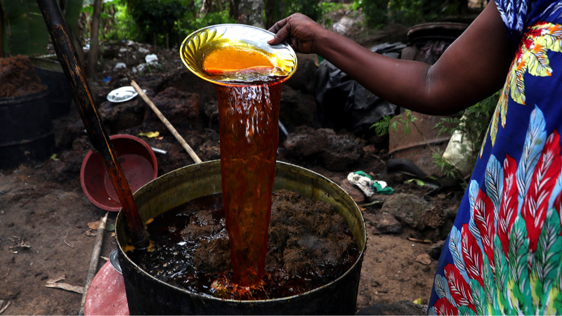 Malezya ile ABD arasında palm yağı savaşı