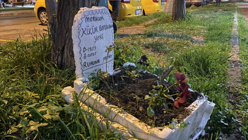 Taksiciler ölen muhabbet kuşları için mini mezar yaptılar